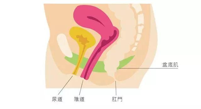 私处年轻紧致是女性的必修课！不为别人只为自己