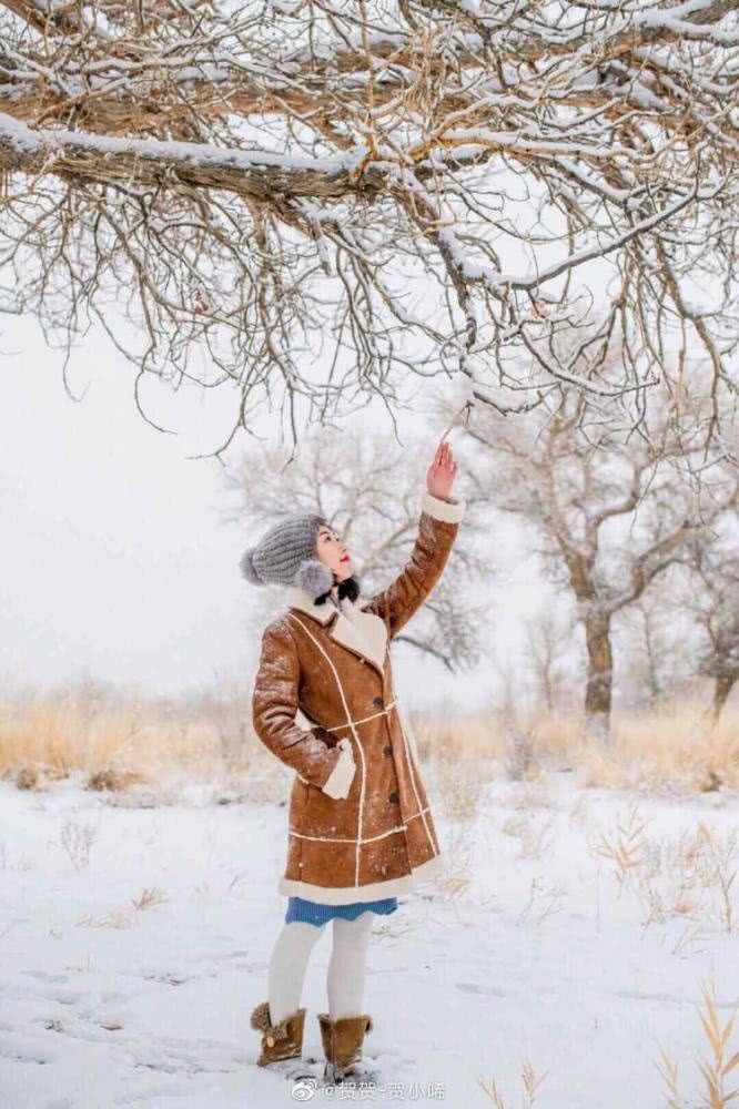 你见过冬天的胡杨林吗？实拍新疆的万亩胡杨林，雪天美成人间仙境