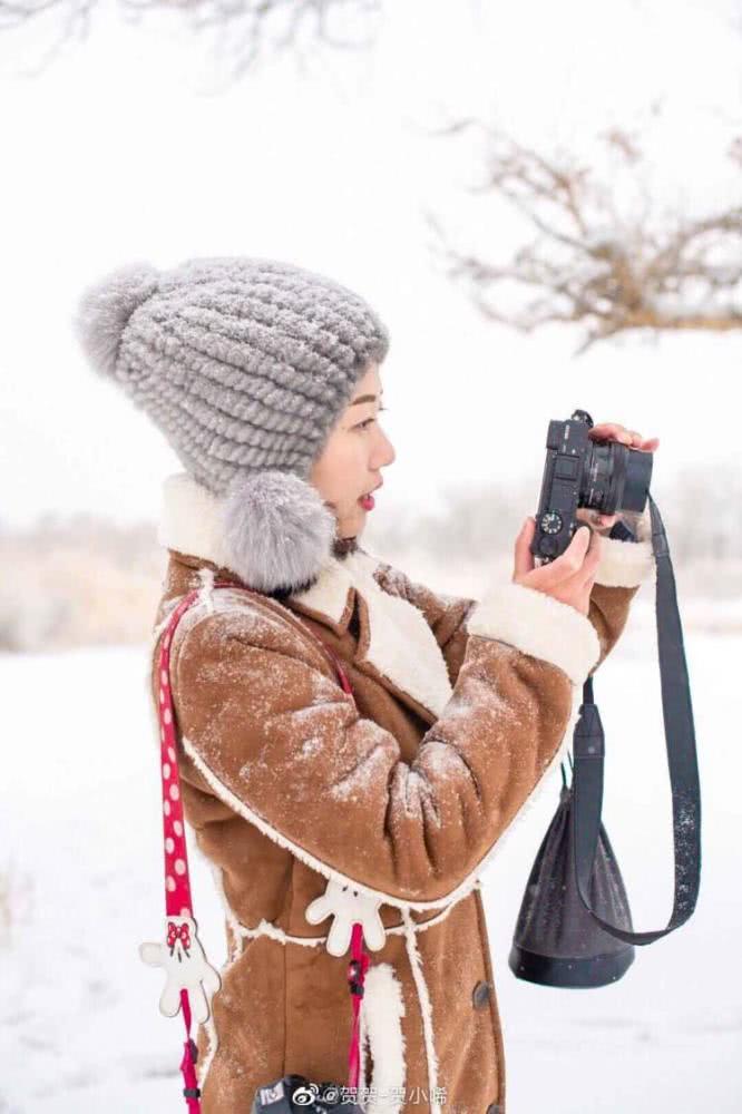 你见过冬天的胡杨林吗？实拍新疆的万亩胡杨林，雪天美成人间仙境