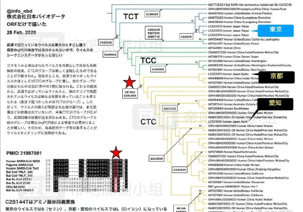 美国感染的新冠病毒有中国不曾出现的新类型，这说明了什么？