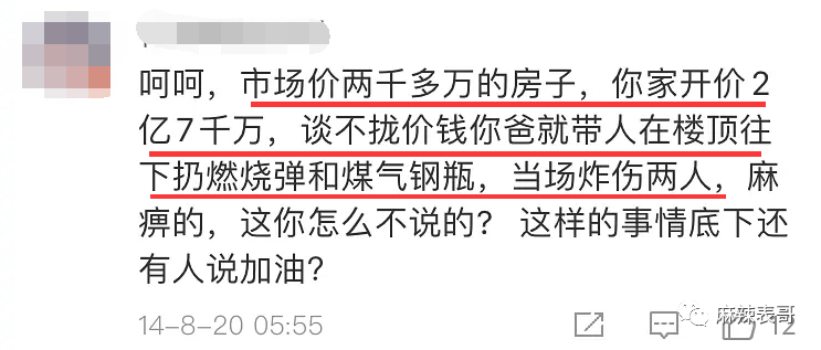 蓝盈莹的问题是“有野心”吗？可别模糊概念搞错了重点