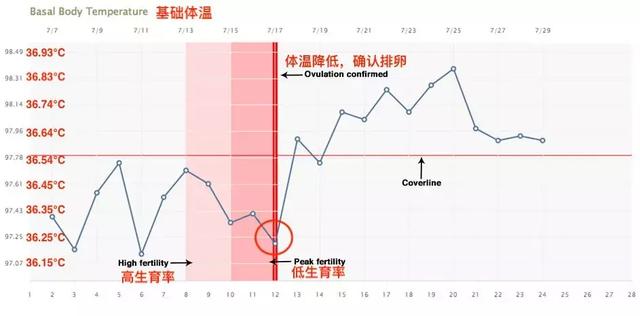 这些都是排卵期的身体表现，造娃趁时候，快收下！