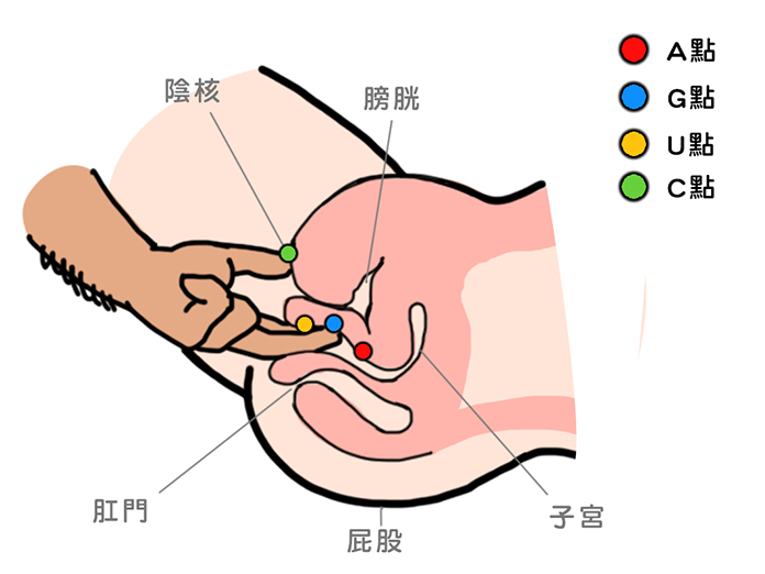 怎样嘲吹 总结让女人嘲吹的经验