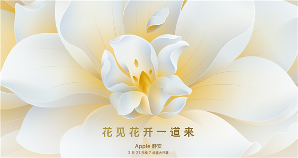 苹果 CEO 库克现身上海“偶遇”郑恺，静安 Apple Store 直营店明日开业